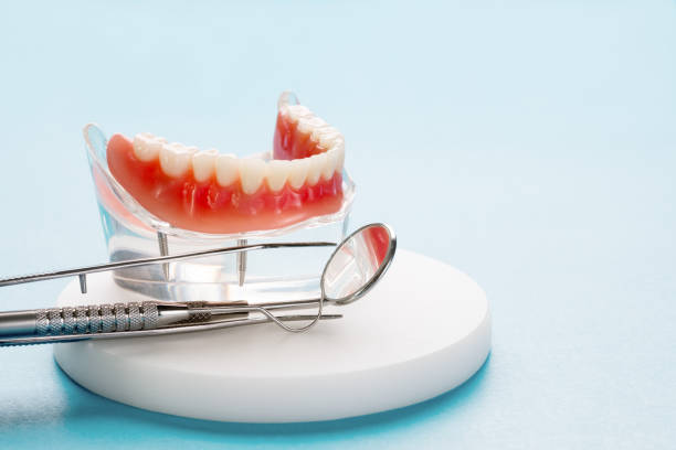Best Preventive Dentistry  in Bealeton, VA